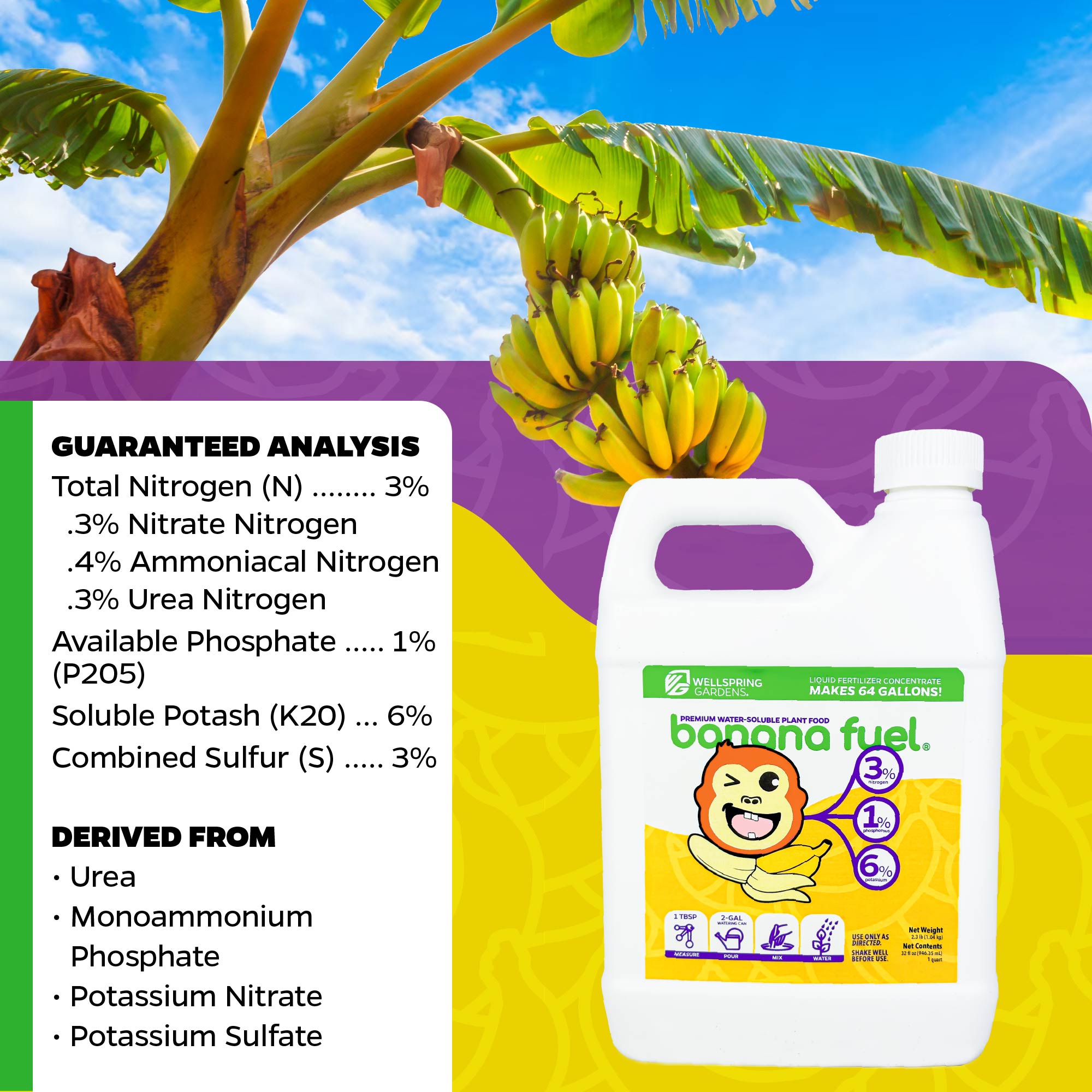 3 Petite Banana Plants + Liquid Banana Fuel Fertilizer Kit