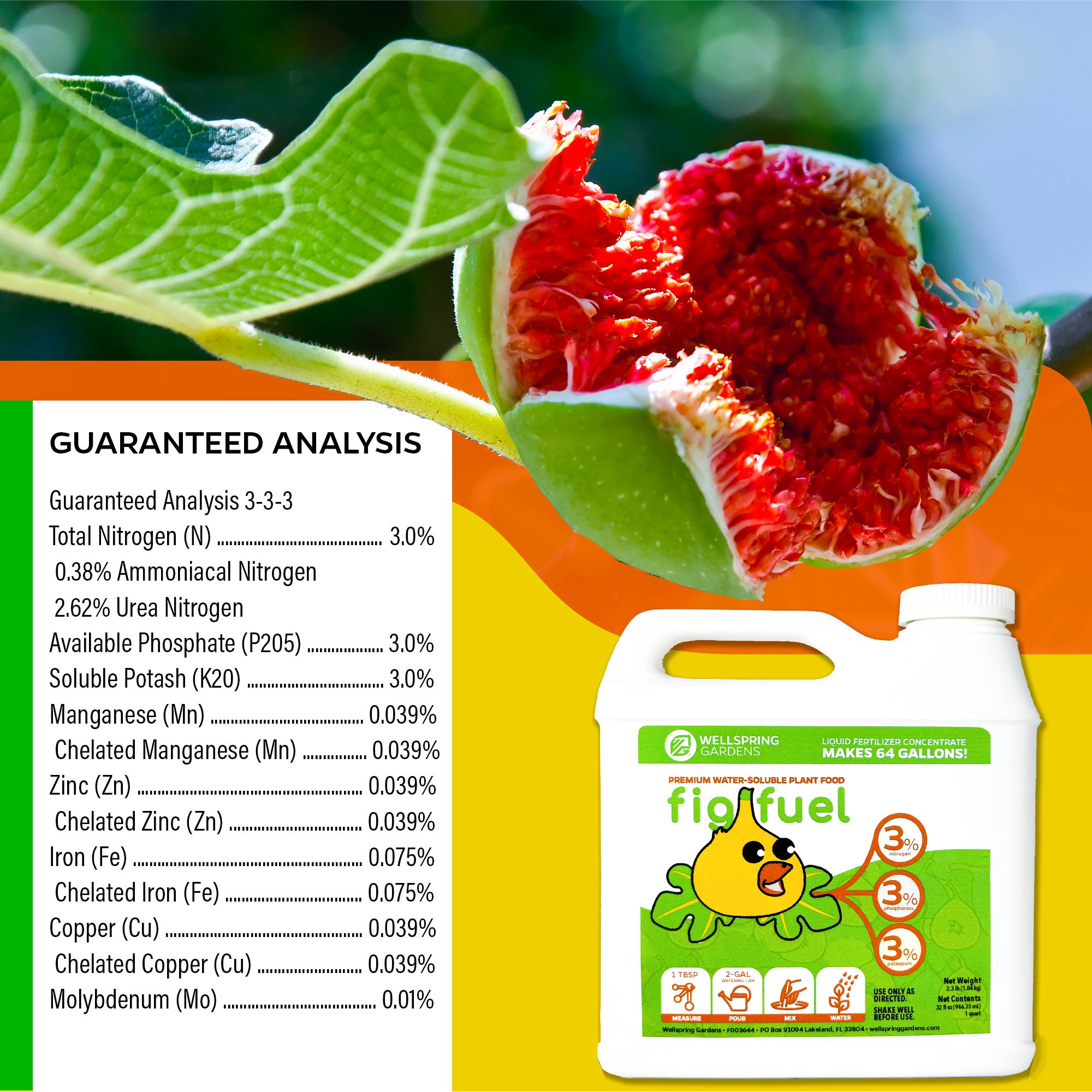 3 Petite Fig Plants + Liquid Fig Fuel Fertilizer Kit