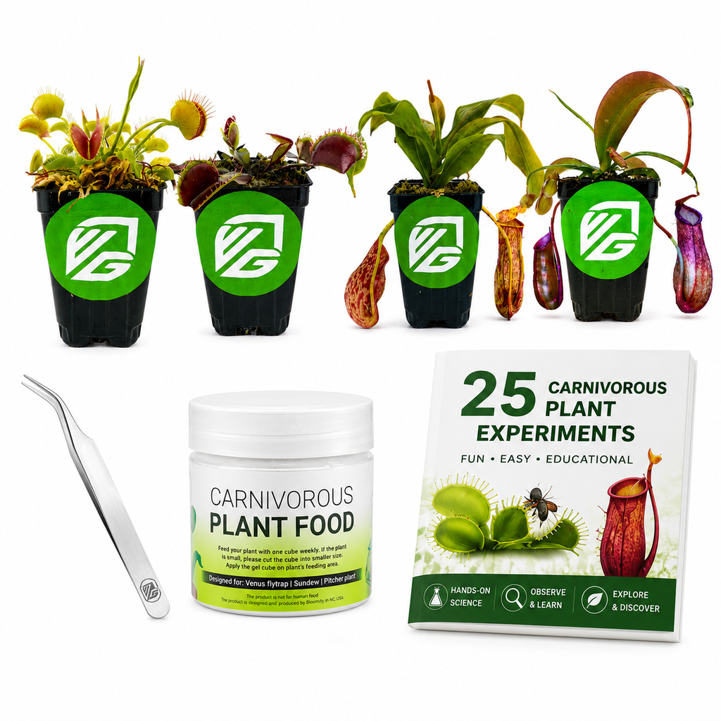 2 Fly Traps + 2 Nepenthes Plants + Carnivorous Plant Food Kit